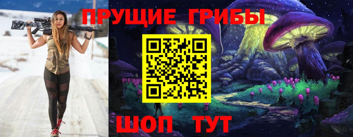 Псилоцибиновые грибы Cubensis Химки