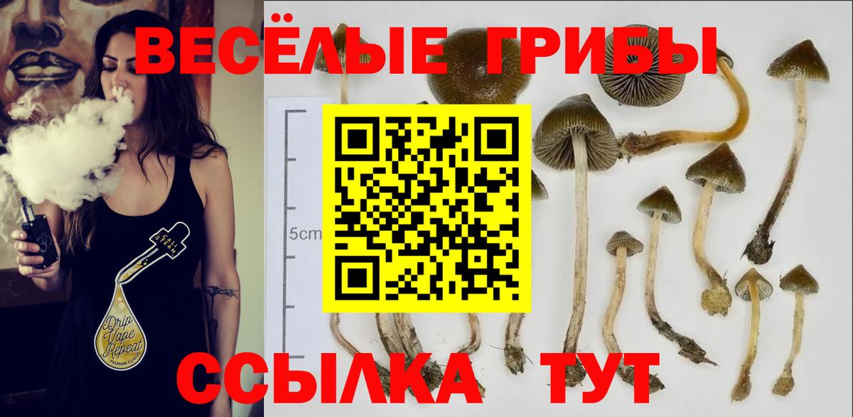 как найти закладки  Вход с VPN  Химки  Галлюциногенные грибы Magic Shrooms 